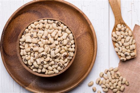 what are navy beans similar to
